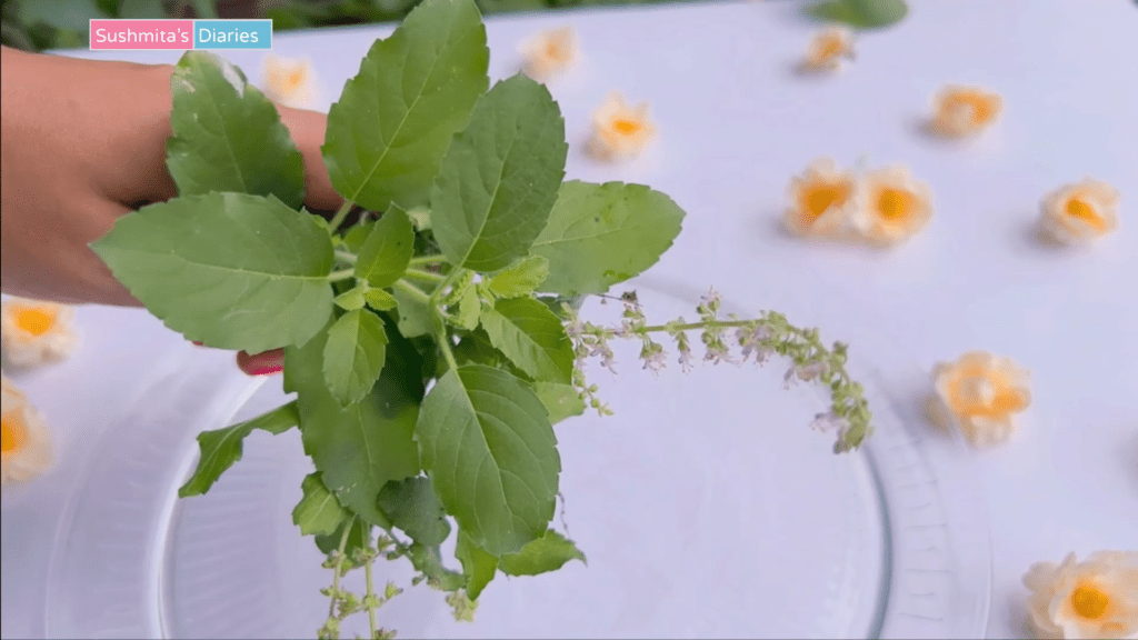 tulsi leaves